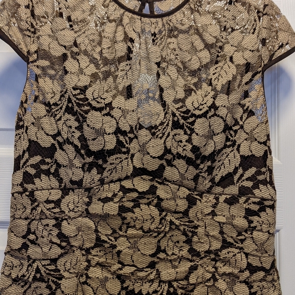 Adrianna Papell Size 4 Dress, Brown with Eggshell Floral Lace Overlay - Picture 3 of 4